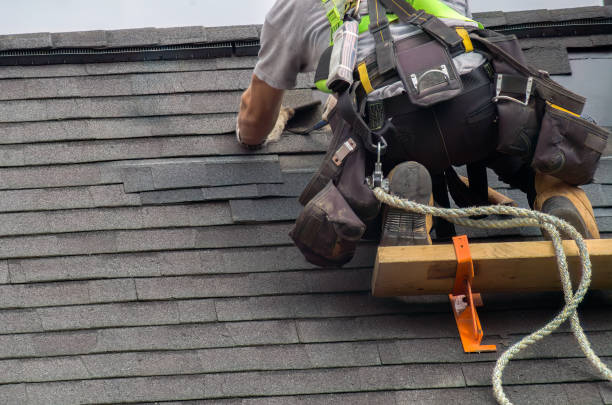 Best Storm Damage Roof Repair  in Millport, AL