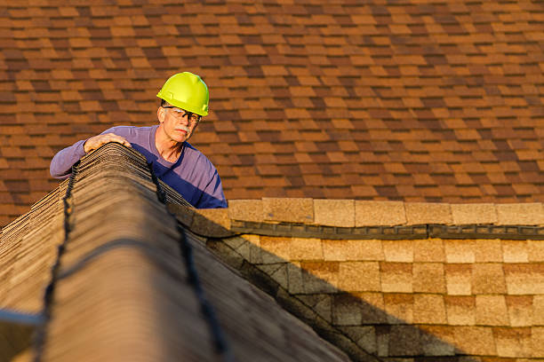 Best New Roof Installation  in Millport, AL