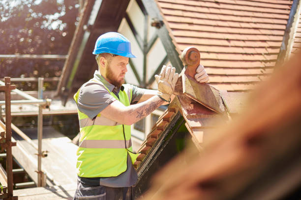 Roof Gutter Cleaning in Millport, AL